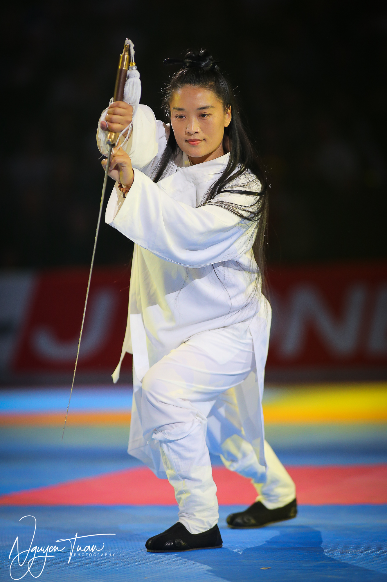 20190324 Festival des Arts Martiaux 2396